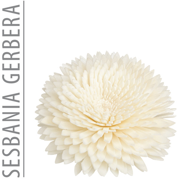 Essence of Nature Ersatz-Blüte Sesbania Gerbera 6cm