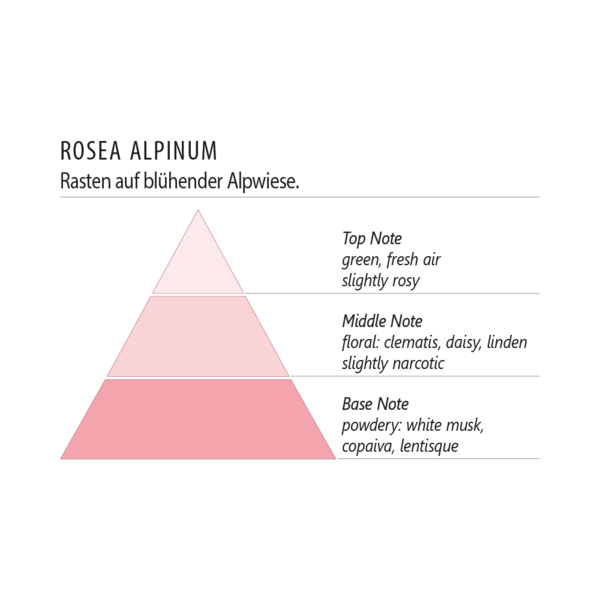 Terra Alpina Room Aroma Sticks 300ml Rosea Alpinum